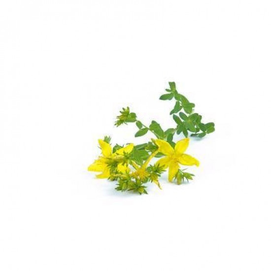 St John's wort BIO - 15g