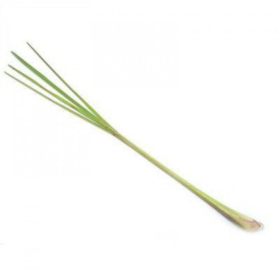 Lemon grass BIO - 15g